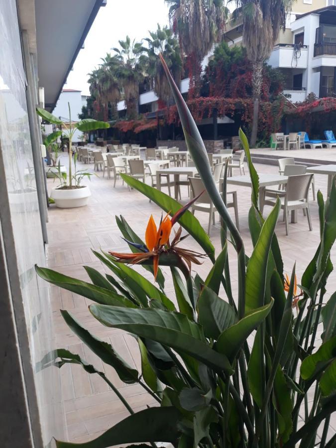 安塔利亚 Club Jovia Kemer酒店 外观 照片